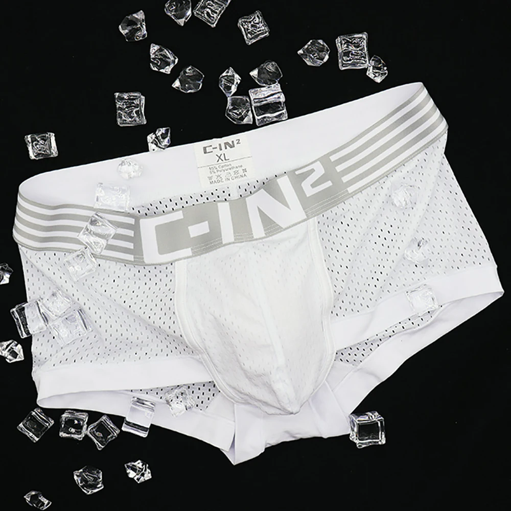 New Style Brand Men's Underwear Male Briefs Ice Silk Youth Fashion