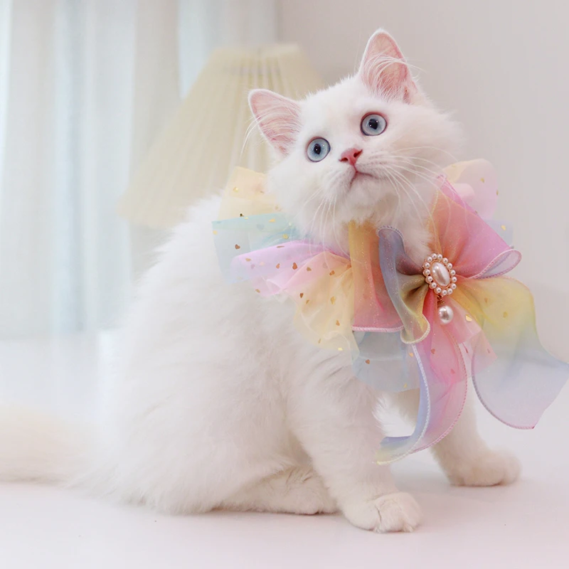 Rainbow Pearl Dog Collar Organza Jewelled Tulle Pet Bows Necklace