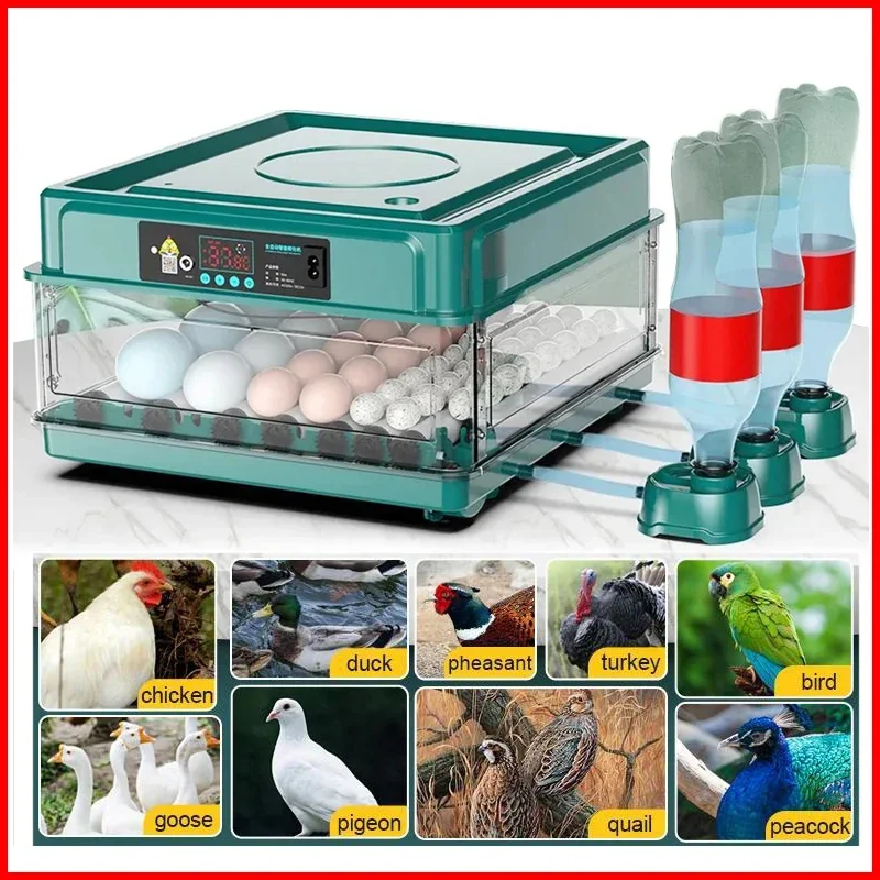 9/15 Eggs Incubator With Drawer Type Mini Egg Incubator With Automatic Water Ionic Waterbed Replenishment And Temperature Contro