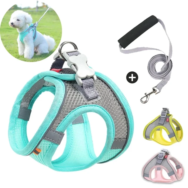 Pet Dog Harness with Rops Small Medium Dog Lead Walking Leashes Adjustable  Pet Chest Strap Fashion Dog Collar Accessories