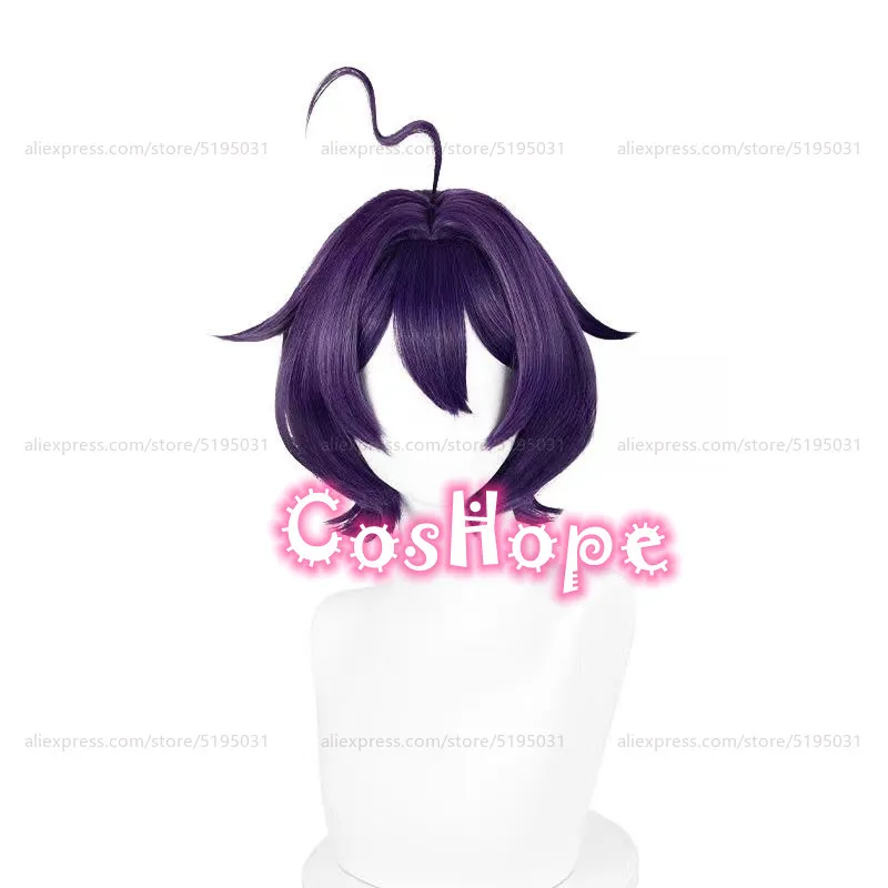 Hiiragi Utena ڽ , ª   , ִϸ̼ ڽ ,  ռ , 33cm