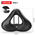 261 Hollow L