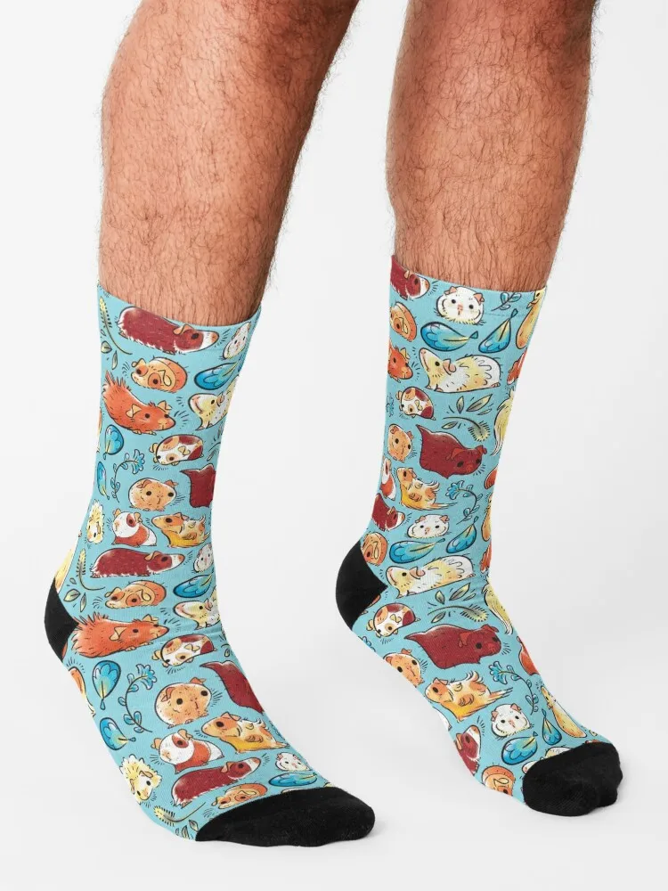 Guinea Pig Huddle In Blue Socks Lots gift Designer Man Socks Women's
