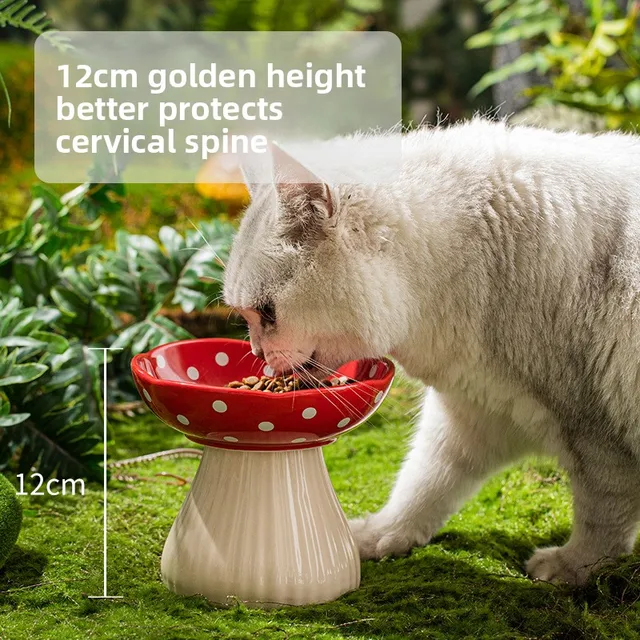 Elevated Pet Bowl with Bracket for Spill Proof Cat and Dog Bowl Tilted Cat and Dog Pet Food Water Tray Elevated Pet Bowl with Bracket for Spill Proof Cat and Dog Bowl Tilted Cat and Dog Pet Food Water Tray