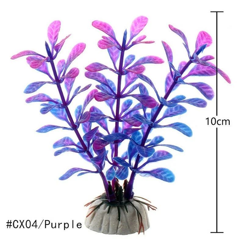 CX04-Purple