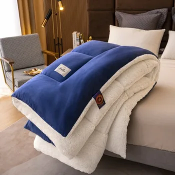 2025 new autumn and winter quilt artificial imitation lamb wool thickened quilt dormitory student bedding soft and warm 1