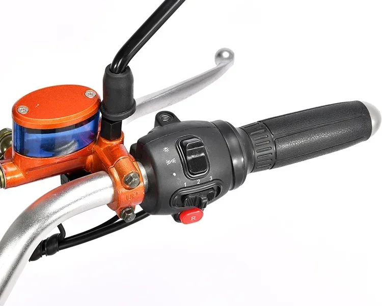 EEC COC electric scooter 2000w 3000w 1500w citycoco scooter 2 big wheel adult electric motorcycle 20Ah battery e