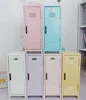 Cute Makeup Storage Cabinet Organizer Box w/lock Cosmetics Display Rack Makeup Brush lipstick for Girl Cabinet Home Bathroom 6