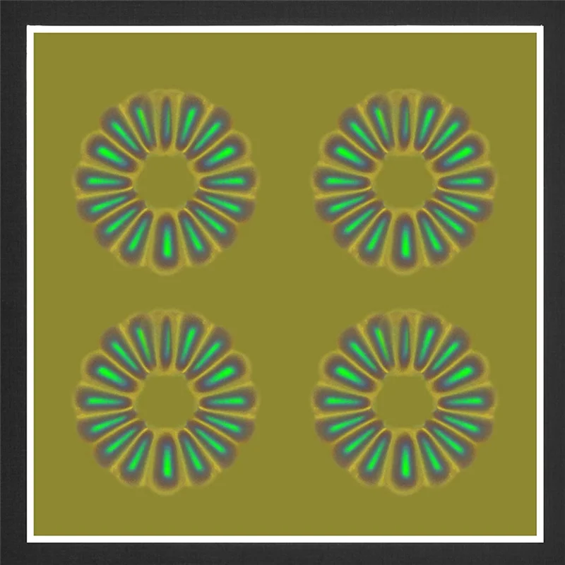Magnetic Field Viewing Film,Magnetic Field Detector to See Magnetic Fields for Scientific Project Teaching 4 x 4 Inch