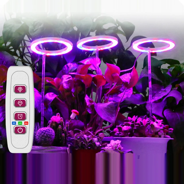 Lampe LED pour culture de plantes, USB, spectre complet, intensité réglable  à 5 niveaux et minuterie, éclairage pour tente/chambre de culture de fleurs  - AliExpress