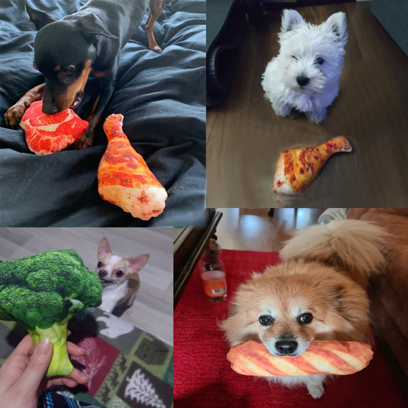 Image showcasing Squeaky Training Interactive Dog Toy • Yorkies Gram