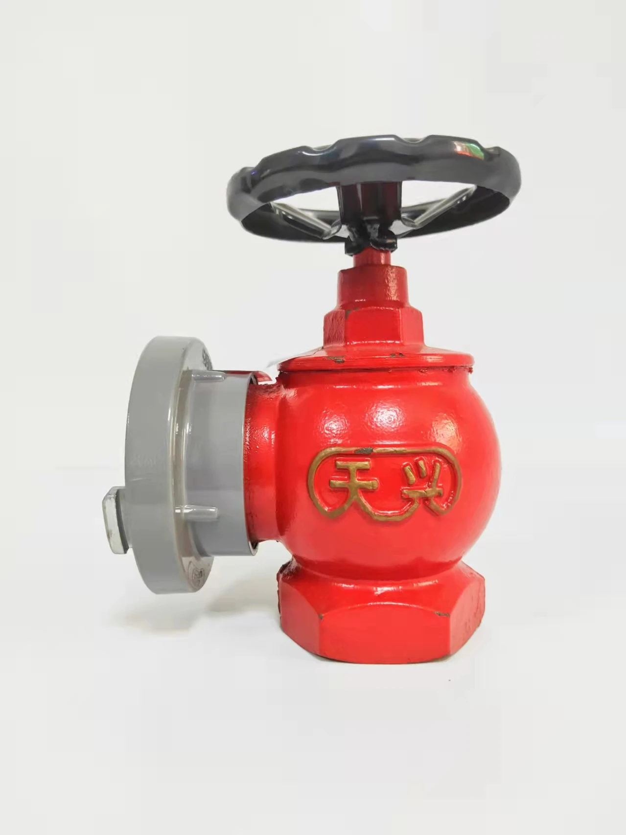 2.5 inch/SN65 indoor fire hydrant