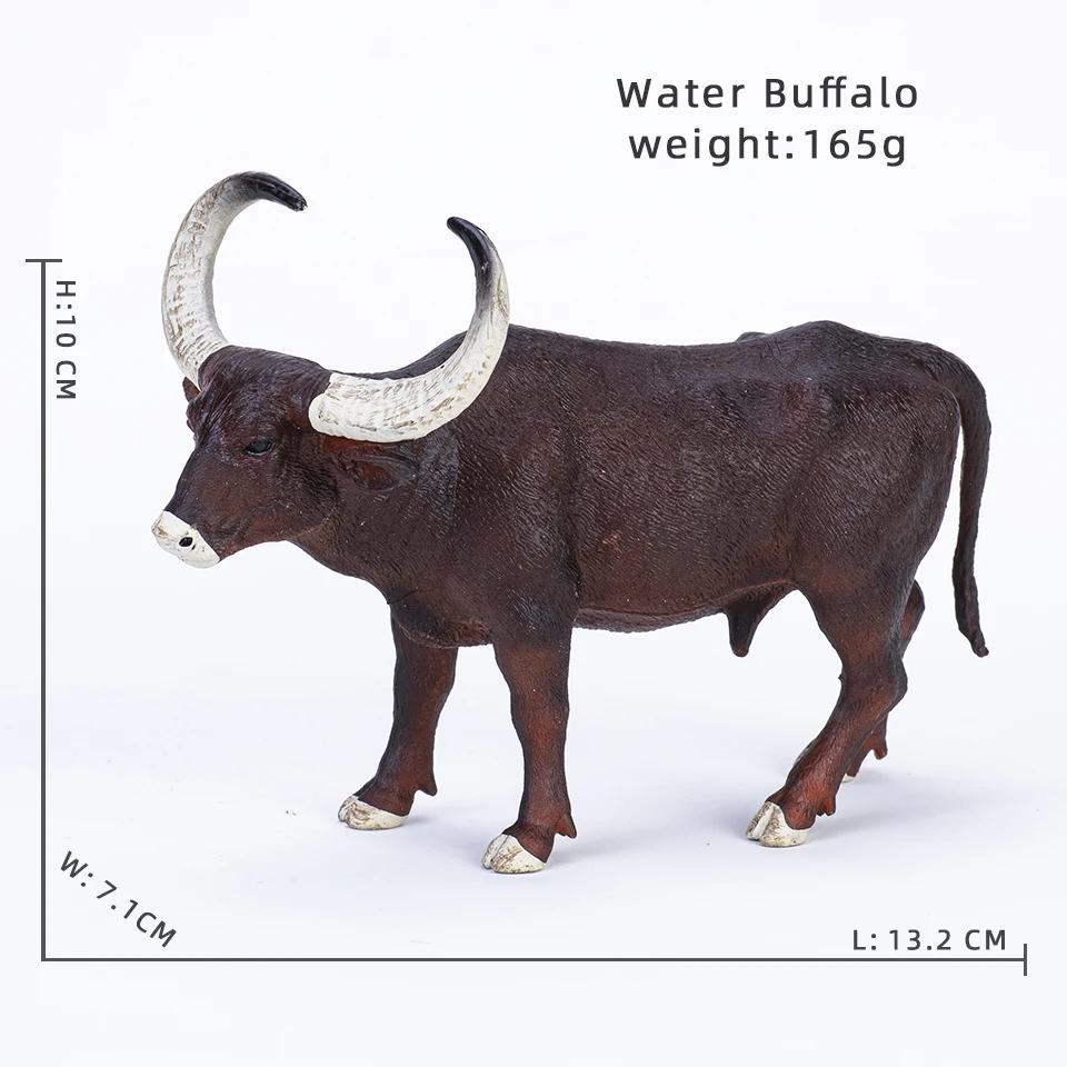 Water Buffalo