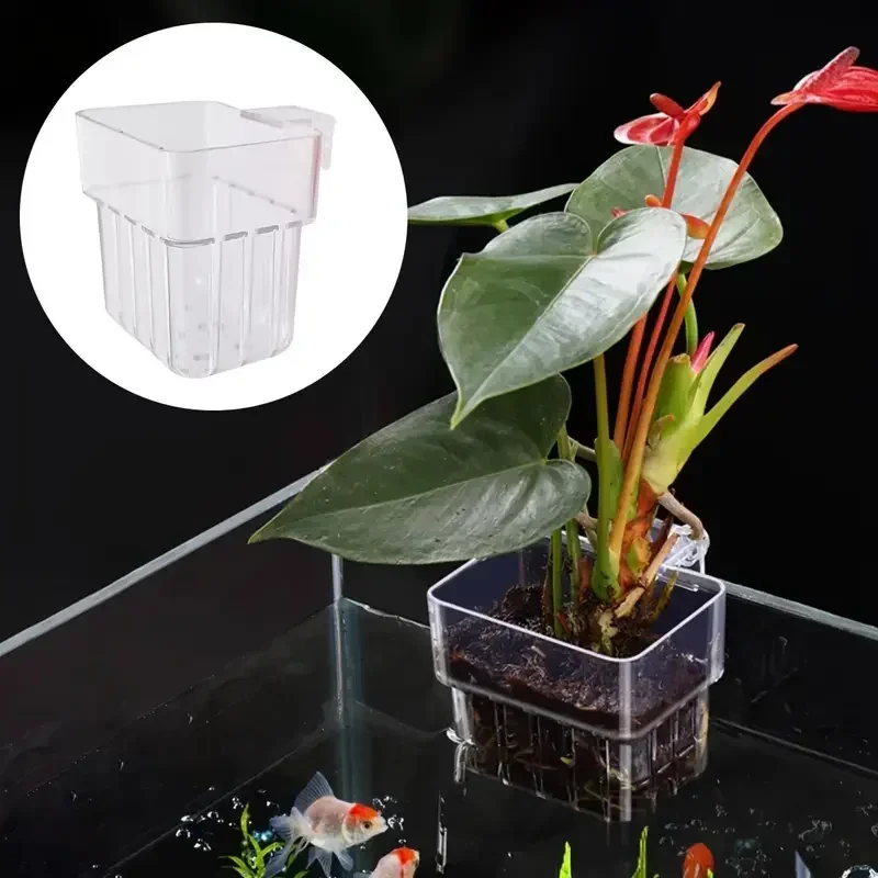 Hydroponic Planting Cup 1PC Household Water Grass Planting Cup Wall Mounted High Transparent Fish Tank Landscape Decoration