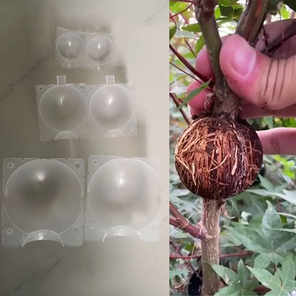 Plant Rooting Ball Grafting Rooting Growing Box Breeding Case for Garden Indoor Gardening & Hydroponics A1