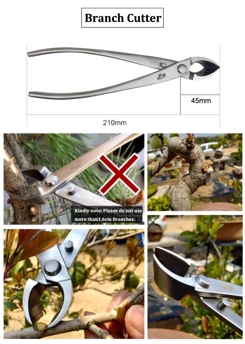 Description Picture 4 of item210mm Stainless Steel Bonsai Tool Set Landscape Modeling Garden Bonsai Tools Shears Knob Cutter Leaf Trimmer for Flower plant