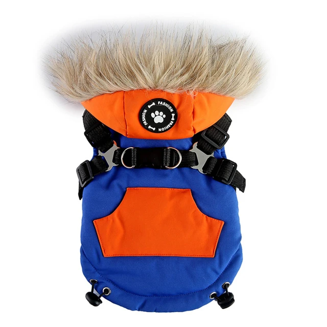 blue-orange