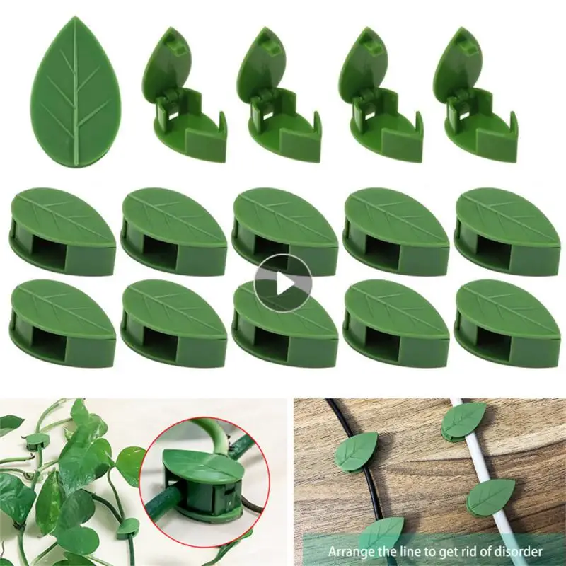 

10-30pcs Invisible Plant Climbing Wall Fixture Vine Plant Support Clip Traction Holder Leaf Fixed Clip Bracket Wire Fixed Buckle