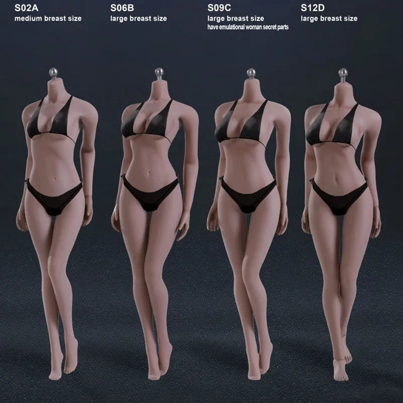 TBLeague Phicen S02A S06B S09C S12D 1/6 Middle Large Bust