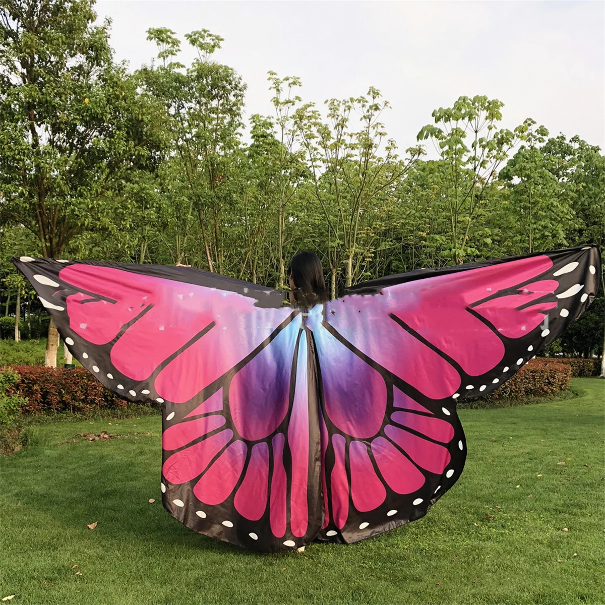 Крылья бабочки для танца. Выступление бабочки. Бабочка махаон луговая. Костюм бабочки. Крылья бабочки для танца.