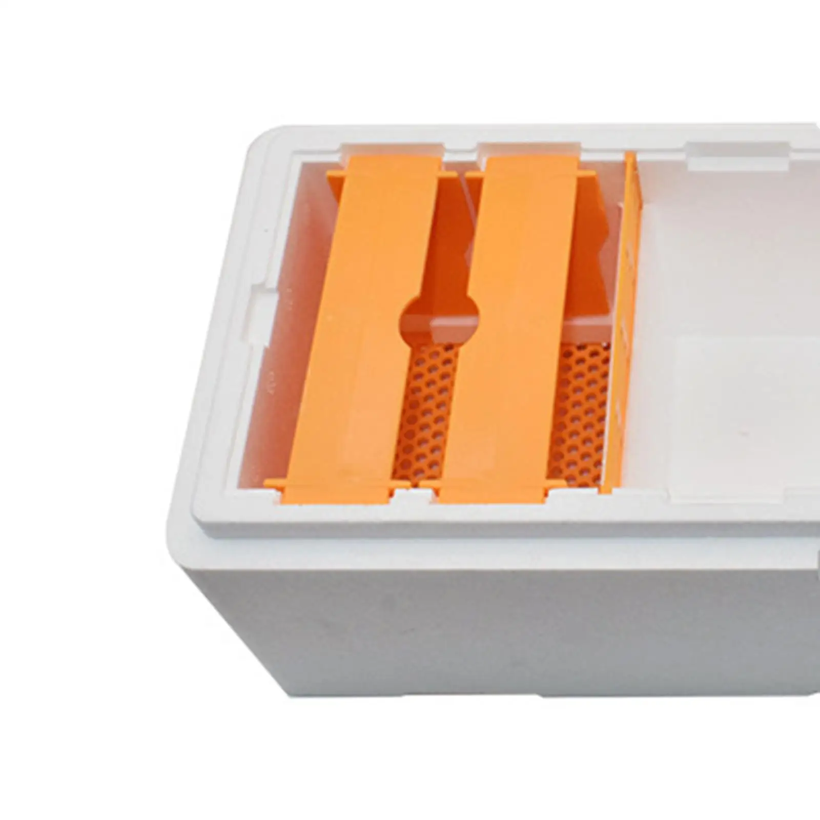 Beekeeping Tools Bee Breeding Box Bee Mating Box Multipurpose mini Hives for outdoor Beekeeper