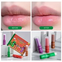 Natural Plant Lip Balm Moisturizing Lipsticks Base Anti-Cracking Lip Oil Christmas Gifts Gift Box Packaging Lip Balm 2