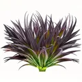 Purple 4pcs