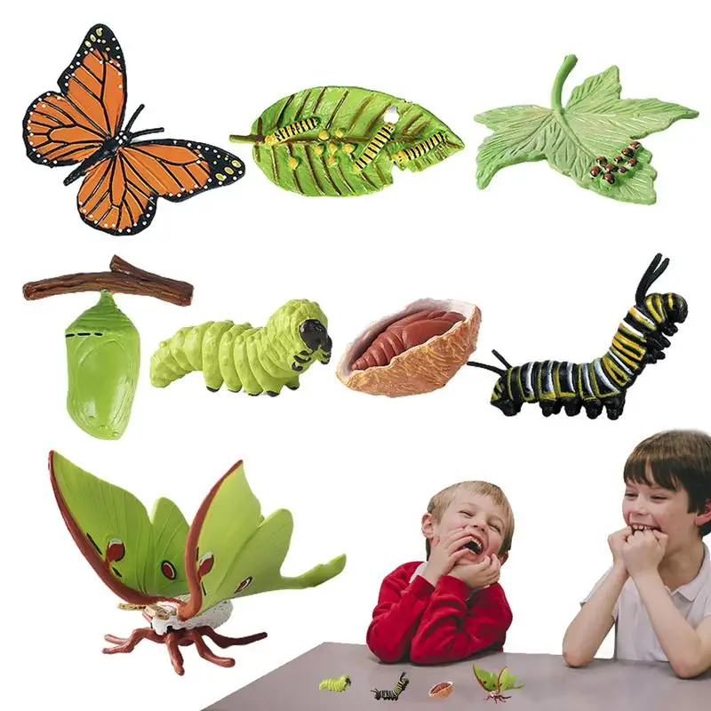

Butterfly Life Cycle Figurines 8PCS Realistic Butterfly Life Cycle Toy Figures Biological Model Of Life Cycle Of A Butterfly