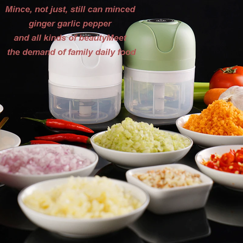 Electric Mini Garlic Chopper, 250ML USB Rechargeable Portable Electric Food  Chopper, Wireless Small Food Processor for Chopping Garlic, Ginger, Chili