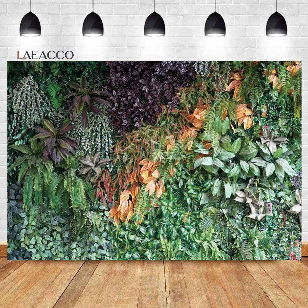 Laeacco    Ĺ,   ,  ,   