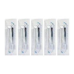 Professional Stainless Steel Dental Tool Kit - Oral Care Instrument Set with Mirror, Probe, Hook, Pick, and Tweezer (10set)