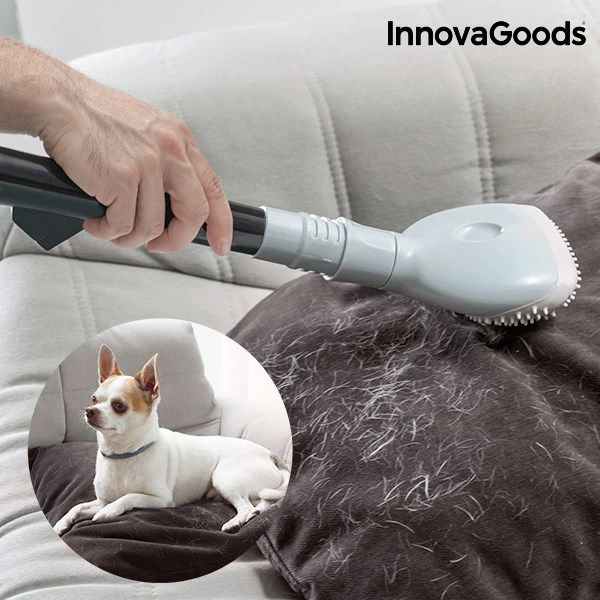 Aspirateur pour animaux