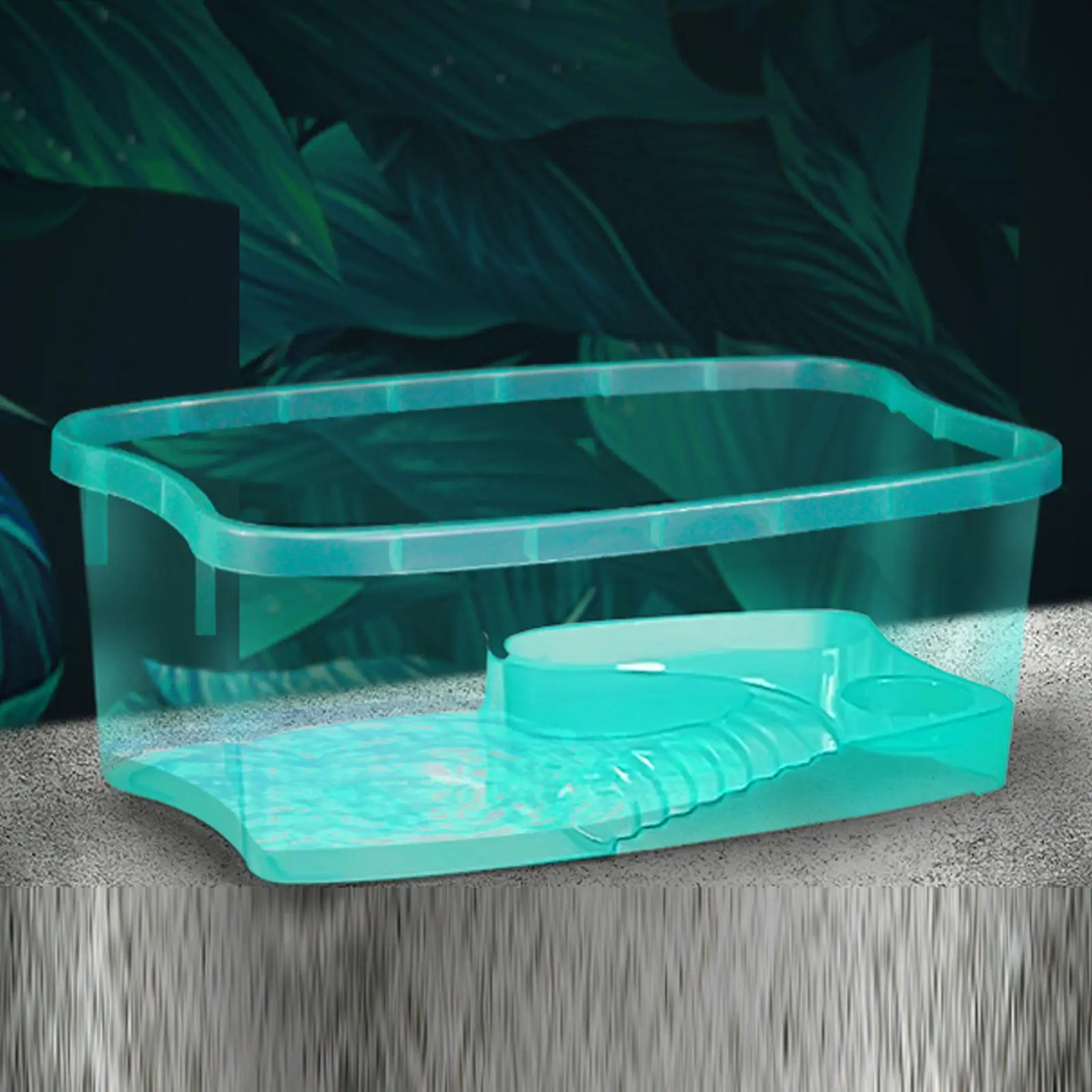 Turtles Tank Aquarium Terrapin Tortoises Case Frog Pets Accessories Amphibians