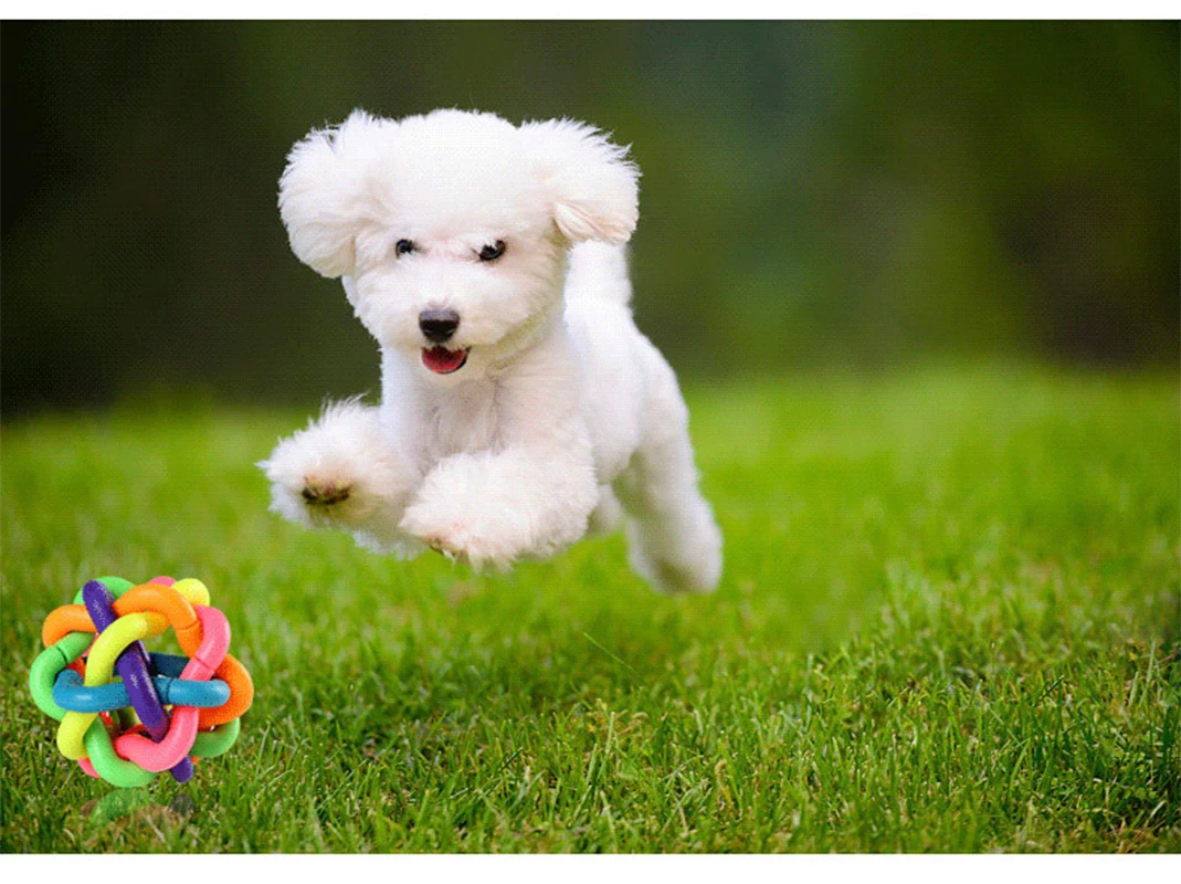 Colorful Bell Woven Toy Popular Dog Bite Resistant  Rubber Pet Chewing Playing Fetching Nice Ball Products 6
