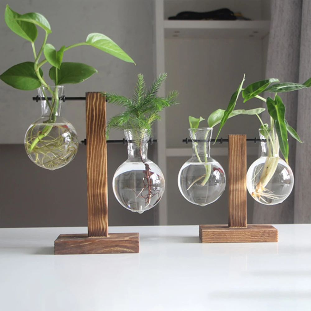 Elegant Glass Planter Vase - Indoor Desk Decor & Gardening Gift