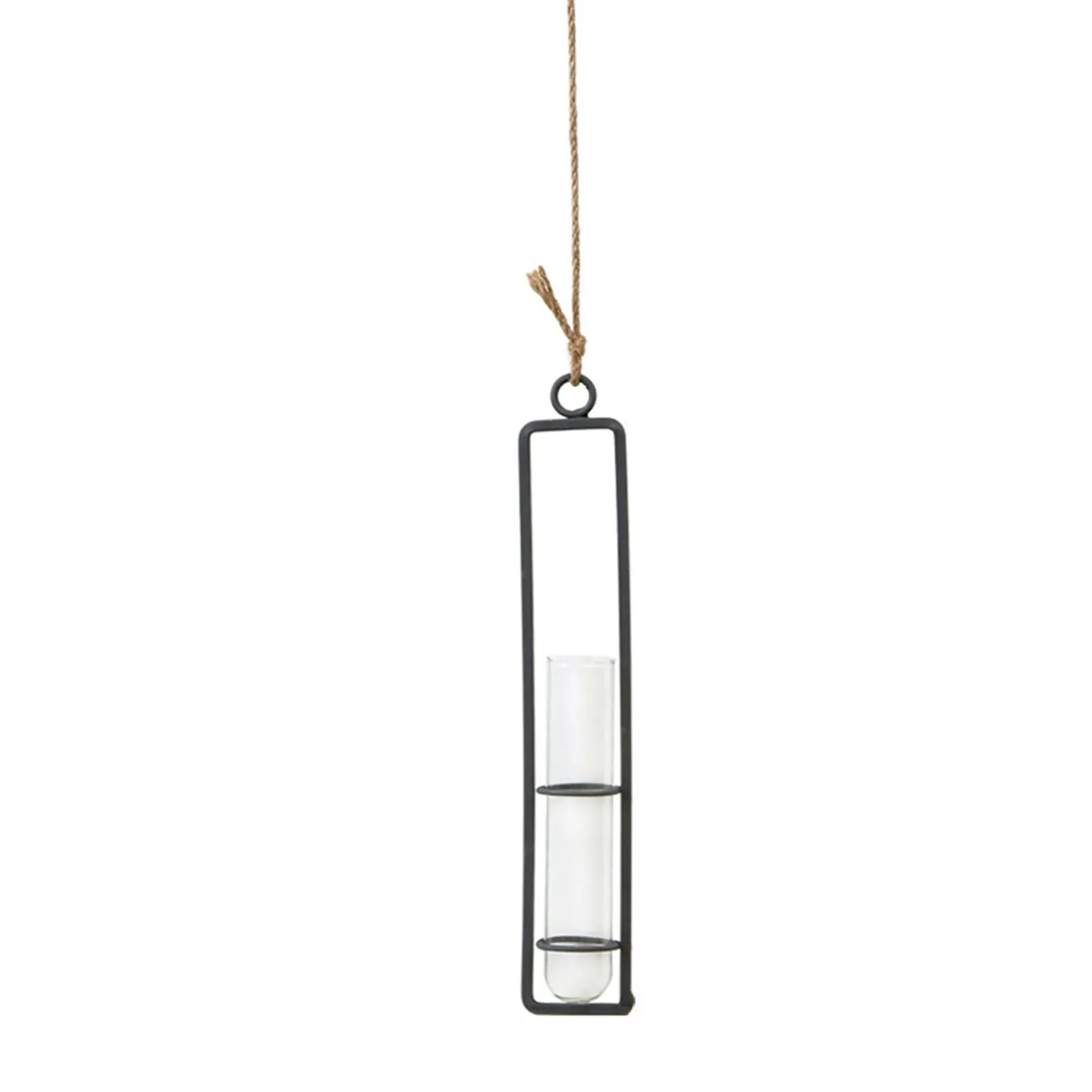 Hanging Hydroponic Plant 6