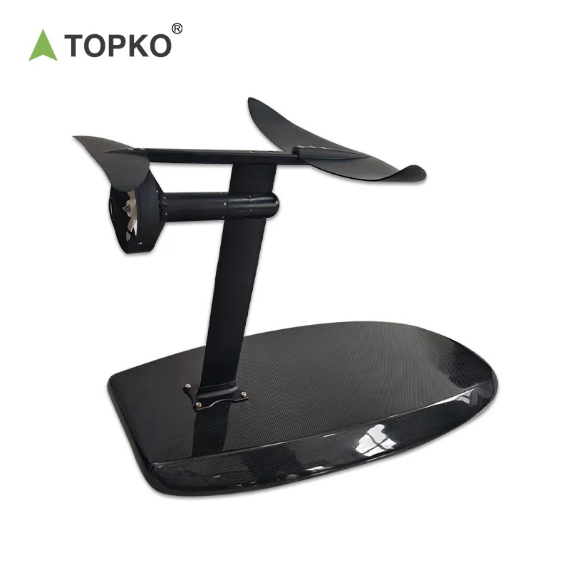 Рисунок 6 - Лидер продаж, электрическая доска для серфинга