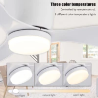 Modern Ceiling Fan with LED Light, DC Motor, Large Air Volume, Remote Control for Kitchen, Bedroom, Dining Room, Patio 2
