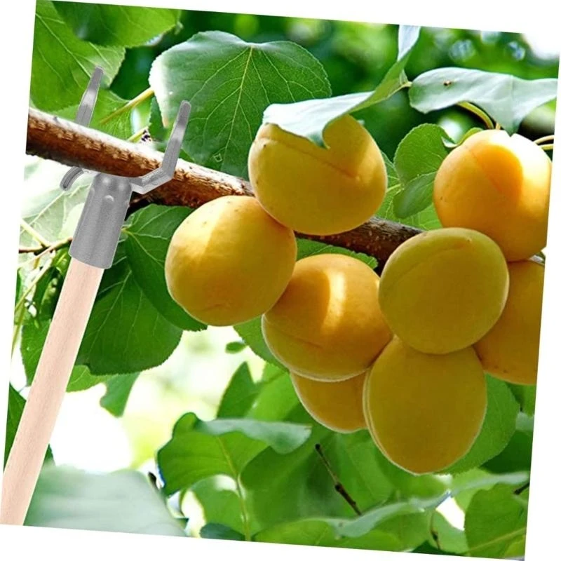 6Pieces Aluminium Tree Stakes for Supporting Youthful Fruit Trees in Gardens