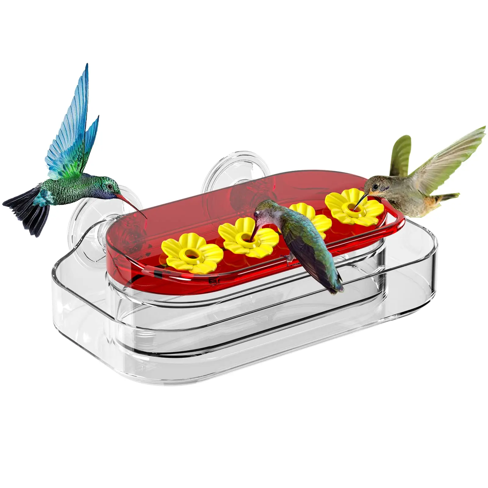 Window Hummingbird Feeders Strong Suction Cups Hummingbird Feeder Plastic Humming Bird Feeder