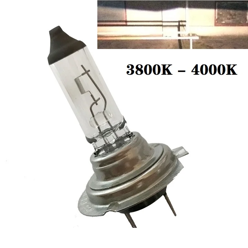 2-Pack 6000K Ultra-Bright White Halogen Headlight Bulbs - 12V Car Replacement Lamps