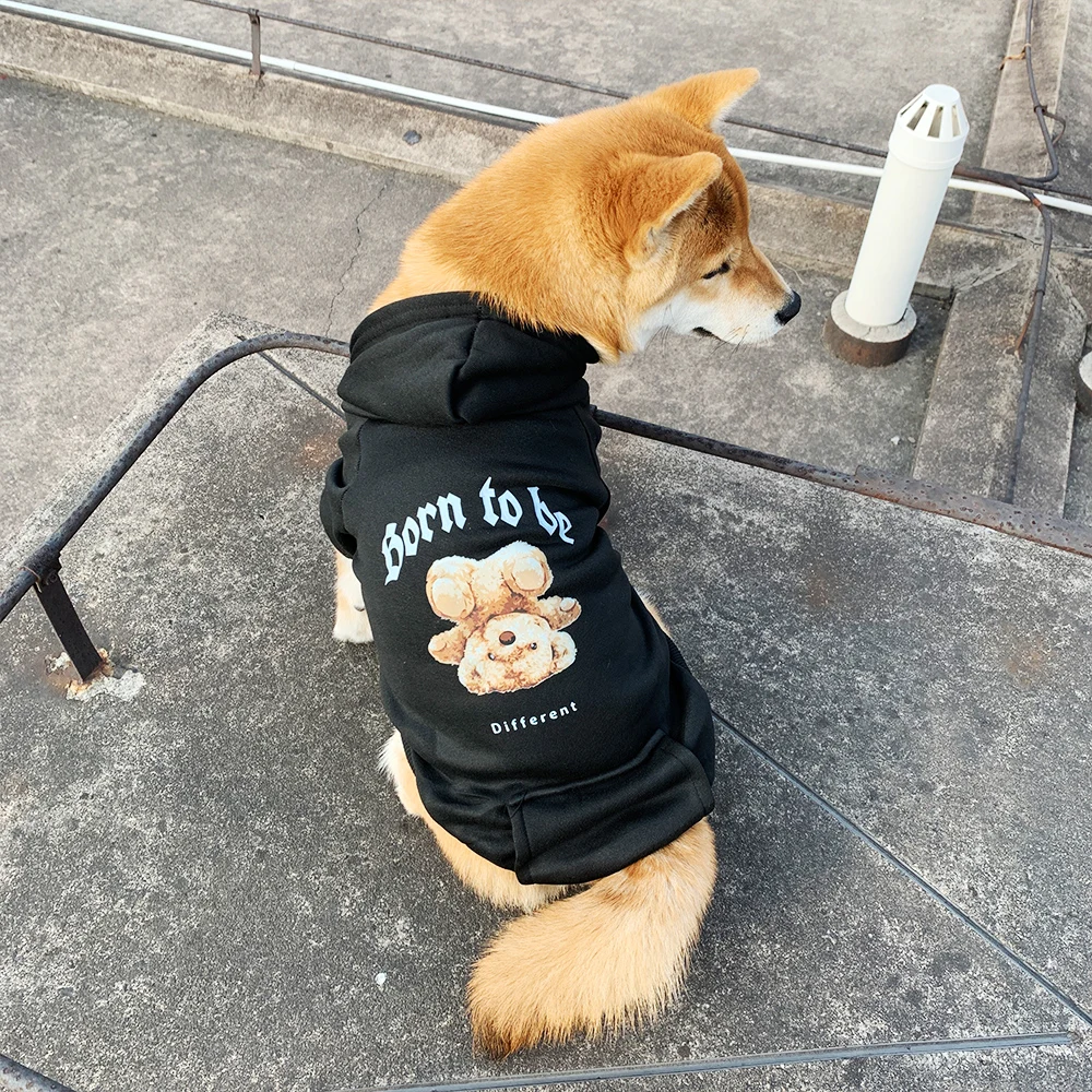 Sweat à capuche pour chiens Born to be Different - 2025 - Doglovedesign : Vêtement et accessoires pour chiens