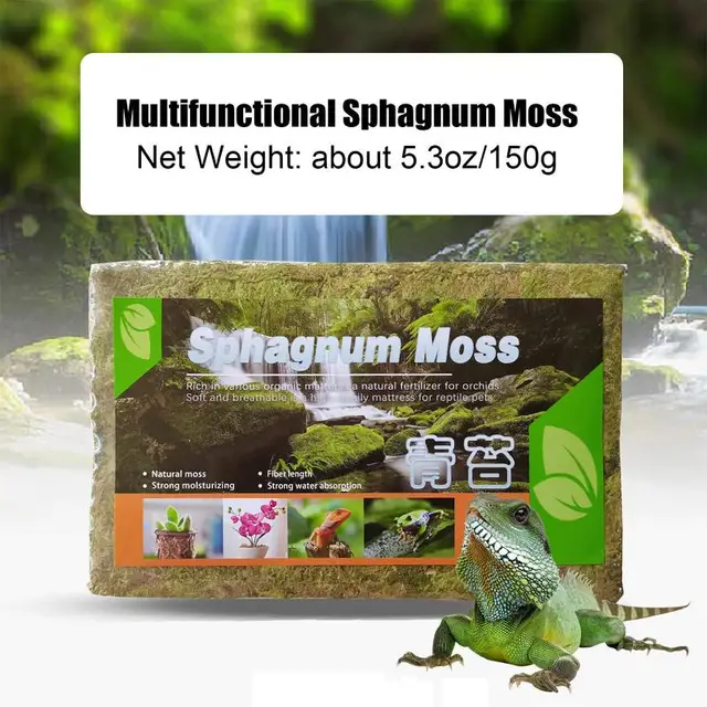 Növényi Sphagnum Moha 150 G Természetes Cserepes Keverék Táplálkozás Szerves Műtrágya Talajnövény Növekedése Diy Virág Edény - Image 6
