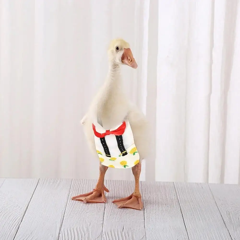 Adjustable Reusable Pet Diaper Washable Fabric Design For Geese Ducks And Chickens With Decorative Bow Accents C4T5