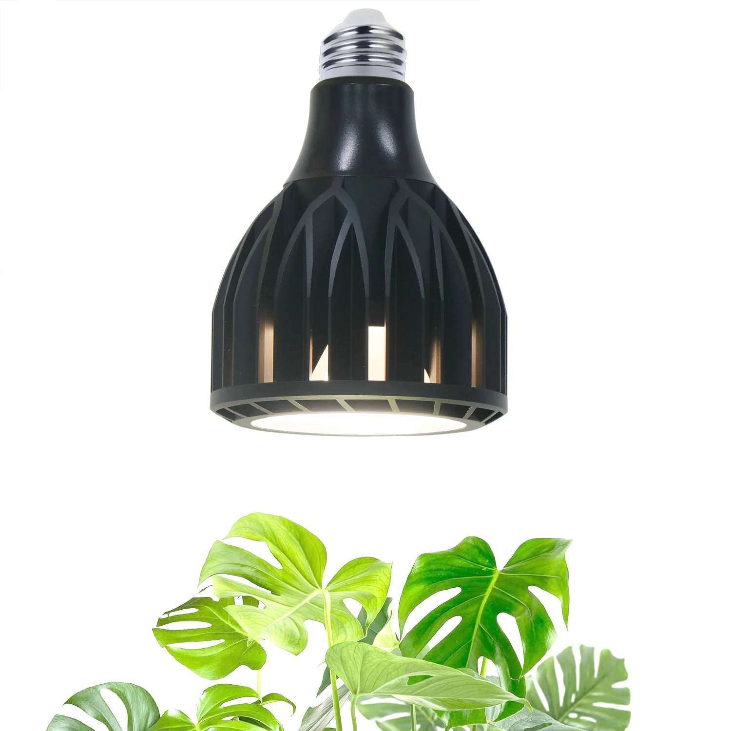 Ar97 Cob Led Grow Light 300W E27 Led Plant Bulb Full Spectrum Fitolamp Hydroponics Phyto Lamp Per Piantine Di Ortaggi Da Interno