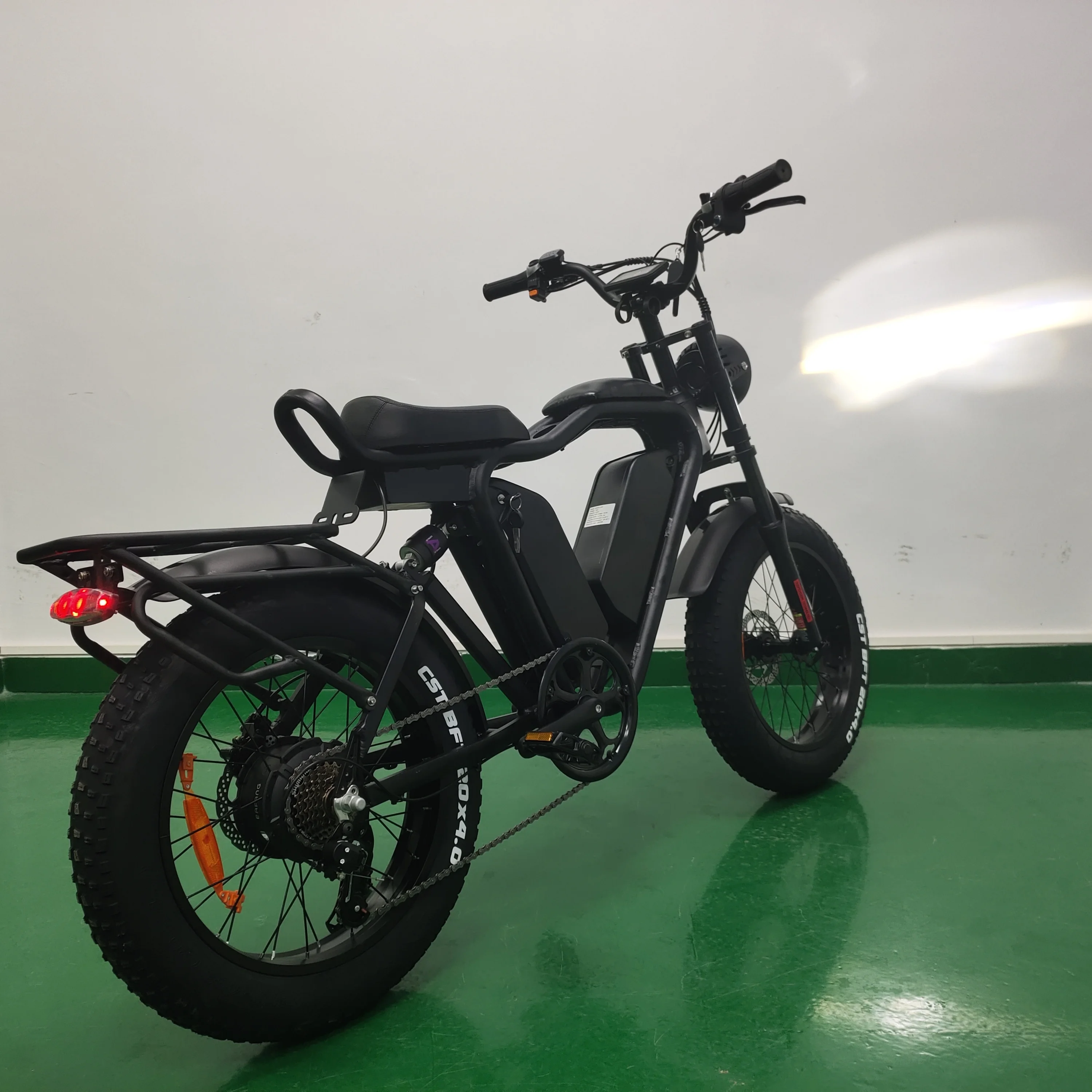 20inch 48v 22ah*2 Dual Lithium Battery 1000w Brushless Motor E Fat Tire Bike Ecycle Cargo Ebike Delivery Electric Bicycle