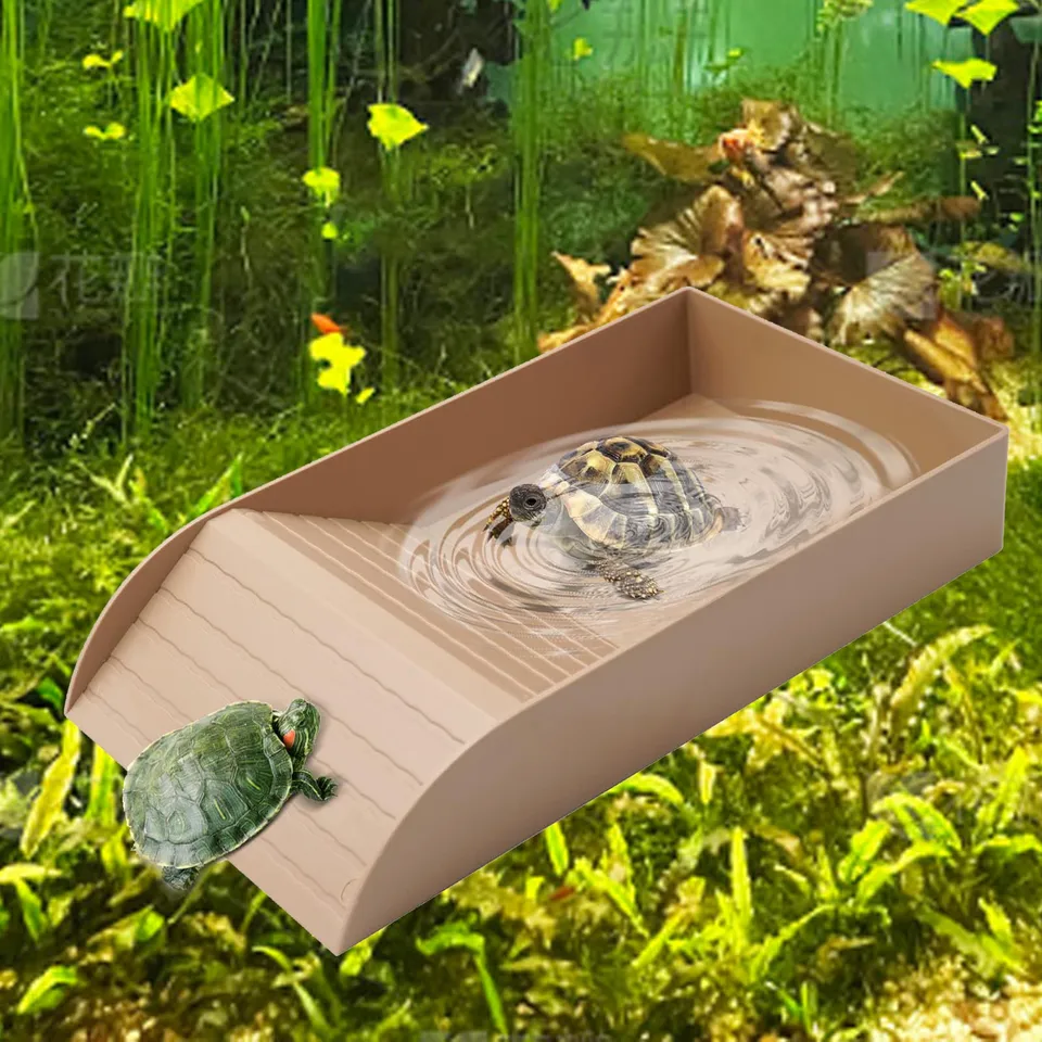 Alongen Tortoise Water Dish Tortoise Food Dish Anti Slip Reptile