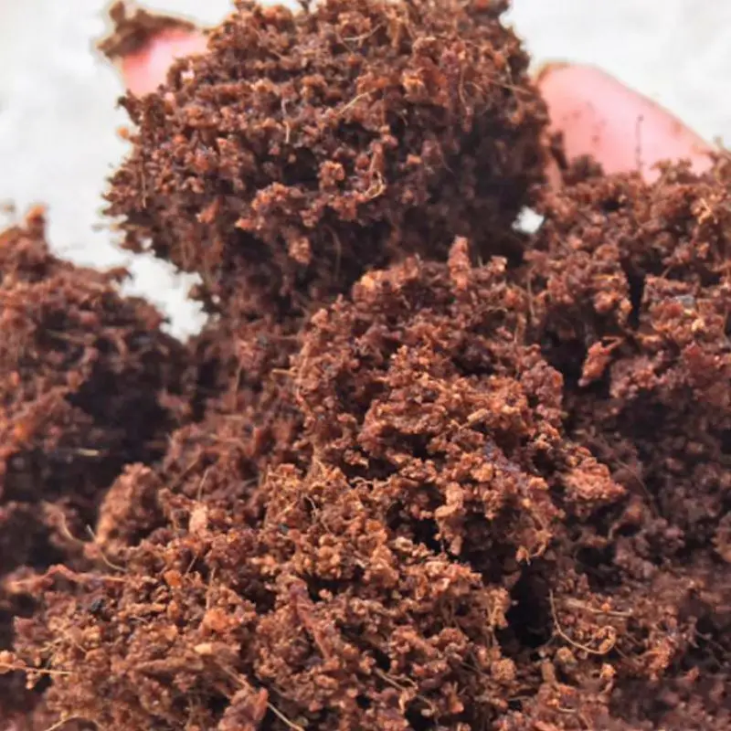 Natural Coir Discs Round Coconut Bricks for Home Gardening Reptile Aquarium 4