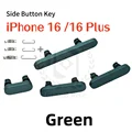 16Plus Green