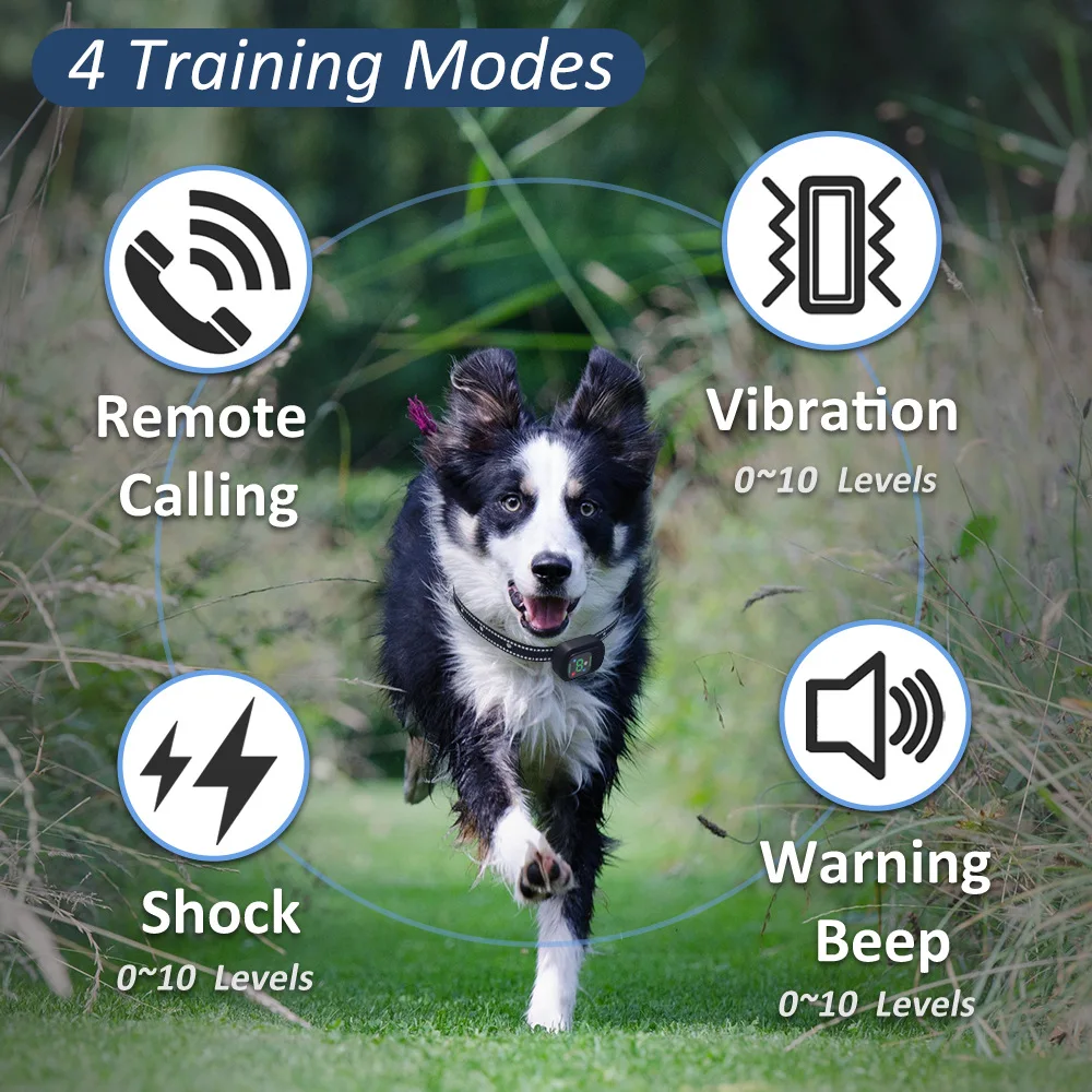 Remote Dog Training Collar 6